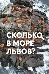 Постер к фильму «Сколько в море львов? (2018)»
