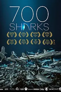 Постер к фильму «700 акул (2019)»