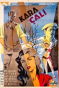Постер к фильму «Kara çali (1956)»