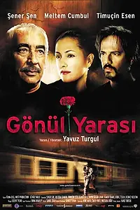 Постер к фильму «Душевная рана (2005)»