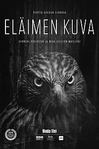Главный постер фильма «Eläimen kuva (2018)»
