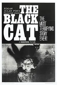 Постер к фильму «Чёрный кот (1966)»