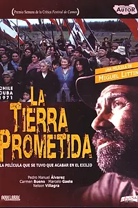 Главный постер фильма «Земля обетованная (1973)»