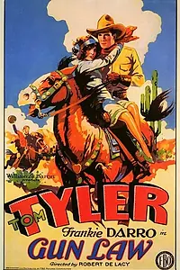 Постер к фильму «Gun Law (1929)»