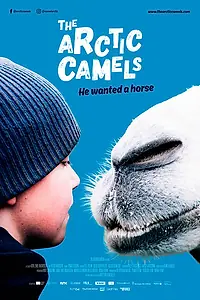 Постер к фильму «Мой друг северный верблюд (2019)»
