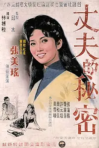 Постер к фильму «Секрет мужа (1960)»