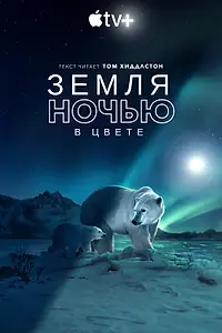 Постер к сериалу «Земля ночью в цвете (2020)»