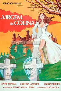 Постер к фильму «Девушка с долины (1977)»
