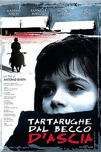 Главный постер фильма «Tartarughe dal becco d'ascia (2000)»