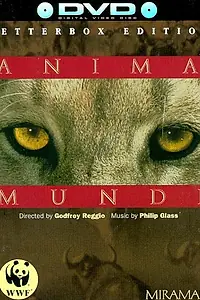Главный постер фильма «Душа мира (1991)»