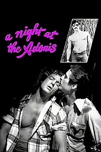 Постер к фильму «A Night at the Adonis (1978)»