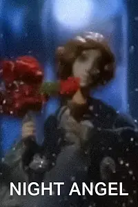 Главный постер мультфильма «Ночной ангел (1987)»