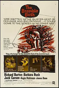 Постер к фильму «Терновый куст (1960)»