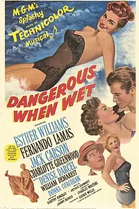 Главный постер мультфильма «Покорить Ла-Манш (1953)»