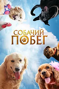 Постер к фильму «Собачий побег (2023)»