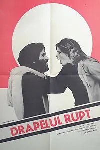 Постер к фильму «Разорванный флаг (1979)»