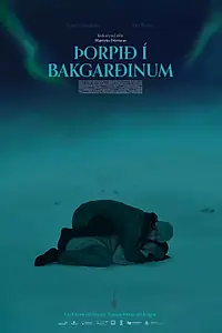 Главный постер фильма «Þorpið í bakgarðinum (2021)»