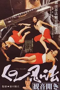 Главный постер фильма «Хроники династии ниндзя (1991)»
