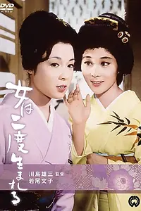 Главный постер фильма «Женщина рождается дважды (1961)»