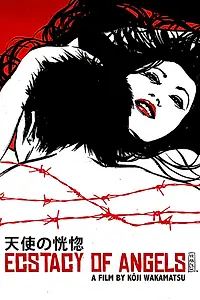 Главный постер фильма «Ангелы в экстазе (1972)»