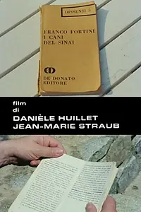 Постер к фильму «Собаки Фортини (1976)»
