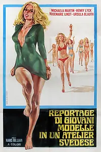 Главный постер фильма «Шустрые пчелки из веселого дома (1970)»
