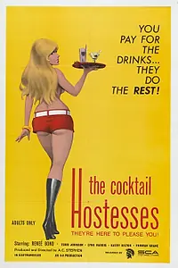 Постер к фильму «The Cocktail Hostesses (1973)»
