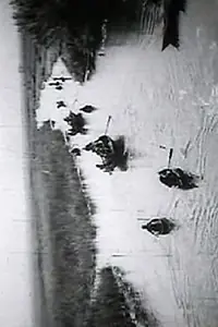 Главный постер фильма «Ljudi sa Neretve (1966)»