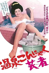 Постер к фильму «Освобождение гейши (1970)»