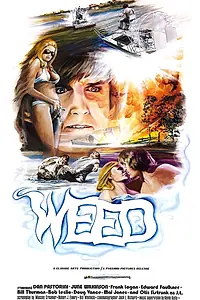 Постер к фильму «The Florida Connection (1975)»