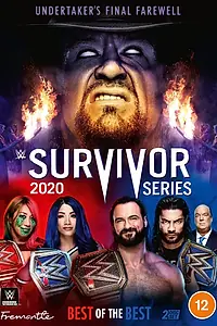 Постер к фильму «WWE Серии на выживание (2020)»