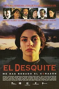 Главный постер фильма «Возмездие (1999)»