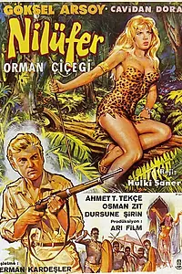 Постер к фильму «Nilüfer orman çiçegi (1960)»