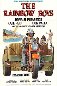 Постер к фильму «Радужные мальчики (1973)»