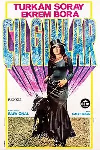 Постер к фильму «Çilginlar (1974)»
