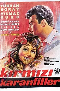 Главный постер фильма «Kirmizi karanfiller (1962)»
