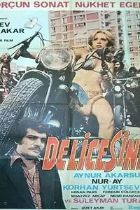 Главный постер фильма «Delicesine (1975)»