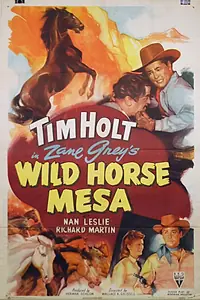 Постер к фильму «Wild Horse Mesa (1947)»