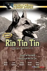 Главный постер фильма «The Return of Rin Tin Tin (1947)»