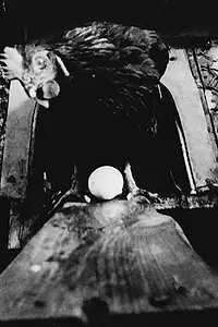 Постер к фильму «Робочик (1993)»