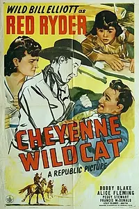 Постер к фильму «Cheyenne Wildcat (1944)»