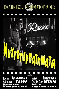 Постер к фильму «Nyhtoperpatimata (1964)»
