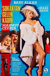 Главный постер фильма «Sokaktan gelen kadin (1984)»
