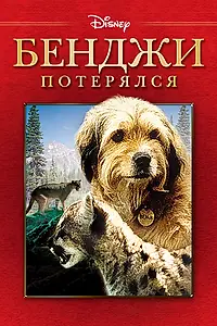 Главный постер фильма «Бенджи потерялся (1987)»