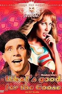 Главный постер фильма «Что хорошо для гуся (1969)»