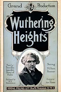 Главный постер фильма «Грозовой перевал (1920)»