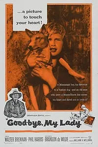 Главный постер фильма «До свидания, моя леди (1956)»