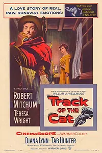 Главный постер фильма «След кота (1954)»