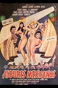 Главный постер фильма «Albures mexicanos (1985)»