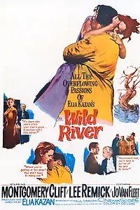 Главный постер фильма «Дикая река (1960)»